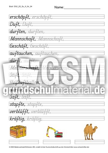DSS_2S_Bu_ft_Nr_04.pdf